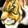 Improved Aspect of the Cheetah