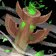 Wind Rush Totem
