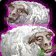 Mass Polymorph