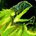 Game icon