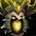Game icon