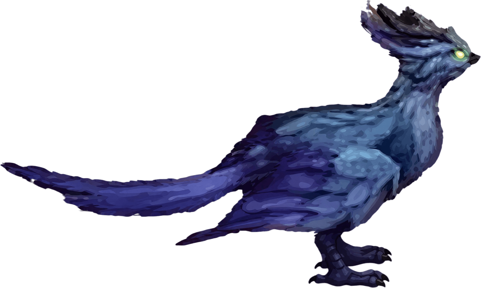 Guide image