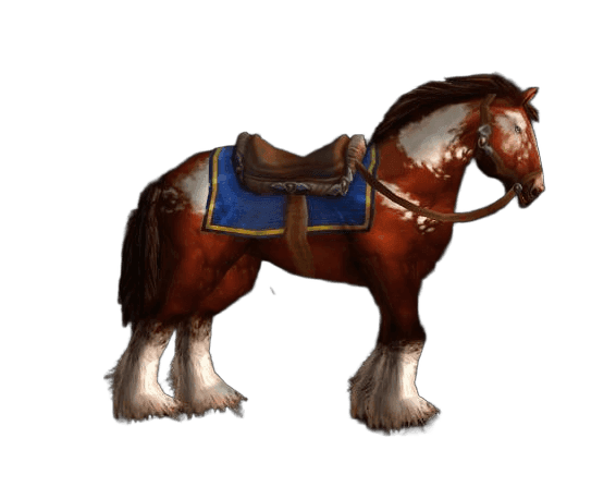 花斑马